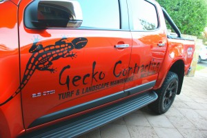 Gecko Contracting Commercial Landscaping Ser